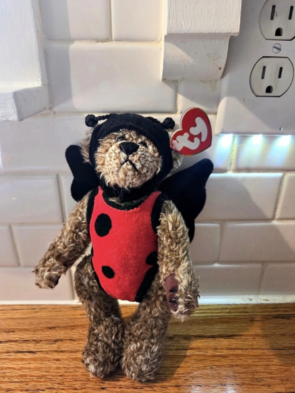 Ty Bugsy the Bear Polka Dot Bear Plush in Brown & Red
